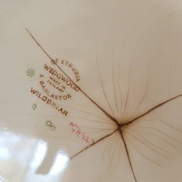 Wedgewood Wildbriar Soup Tourine and Platter - Picture 6 of 9